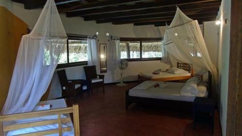 Casa Yuluka Palomino