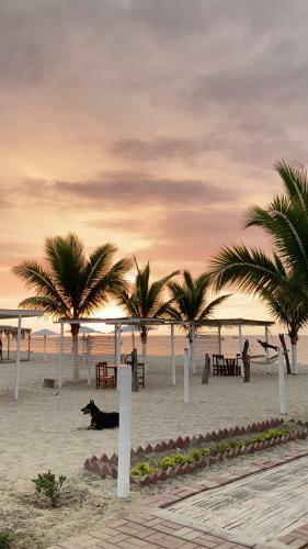 Hotel Costa Nueva