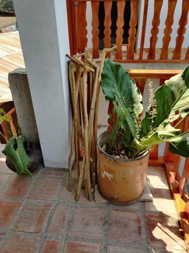 Bed & Breakfast Balcon De Gocta