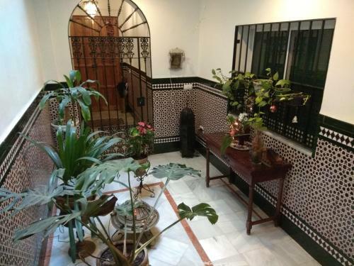 Apartamento Oasi Macarena