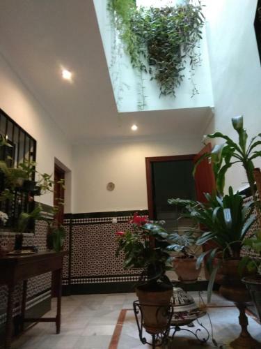 Apartamento Oasi Macarena