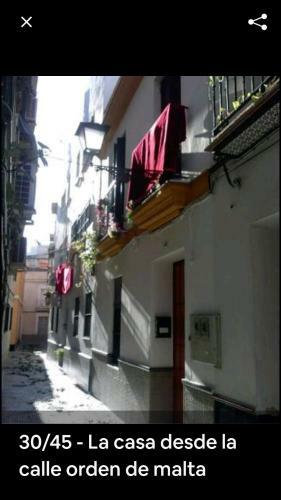 Apartamento Oasi Macarena