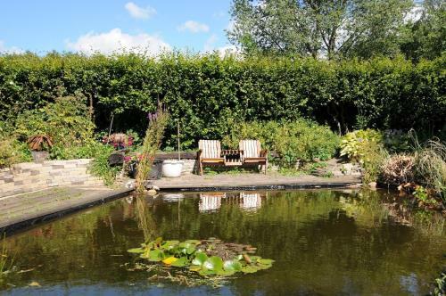 Bed & Breakfast De Violier