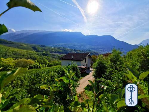 Casa In Tipico Maso, Tra Natura E Tradizione