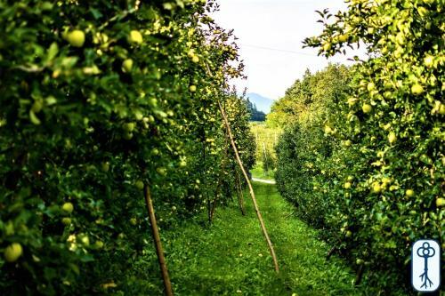 Casa In Tipico Maso, Tra Natura E Tradizione