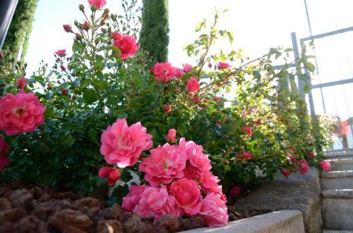 Bed & Breakfast Al Trifoglio