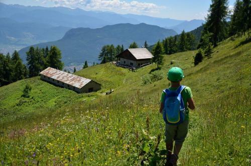 Bed & Breakfast Al Trifoglio