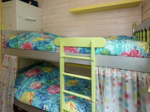 Furnished Holiday Home In Overijssel By The Forest