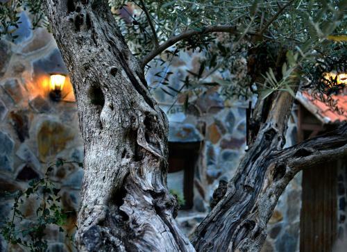 Agroturismo La Casita de Leire
