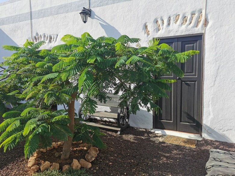 Bed & Breakfast Villa Cecilio