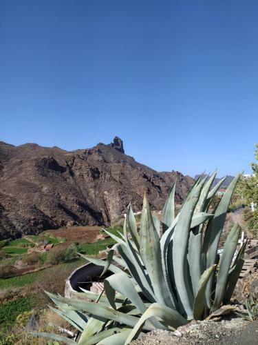 Agroturismo Ecoartejeda Casa Cueva