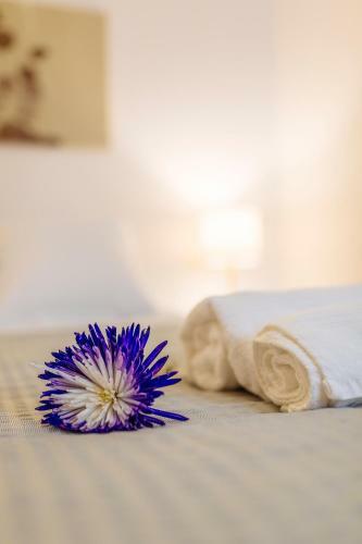 The Place, Your Home Away From. Home