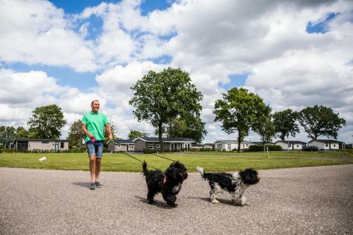 Topparken ? Park Westerkogge