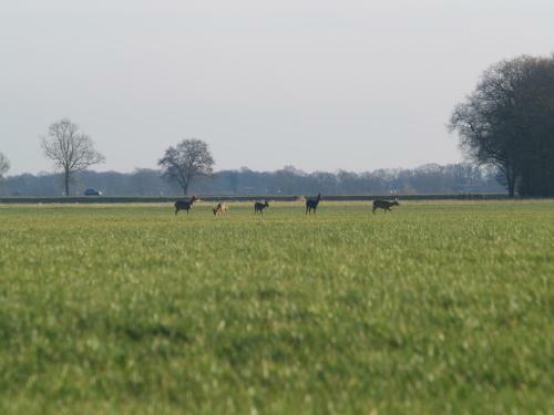 Bed & Breakfast Erve 't Hacht