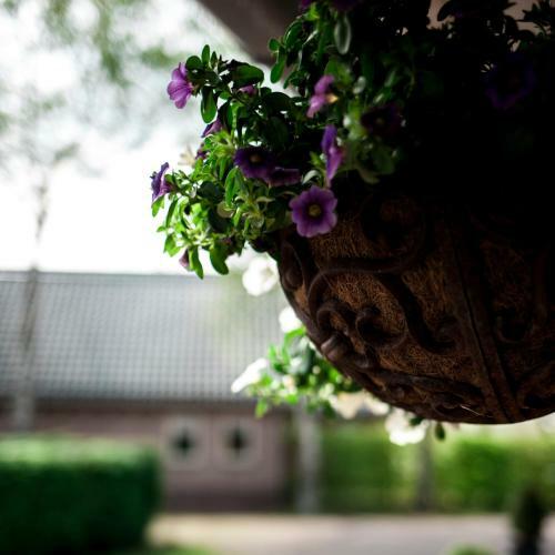 Bed & Breakfast Rheezerstee