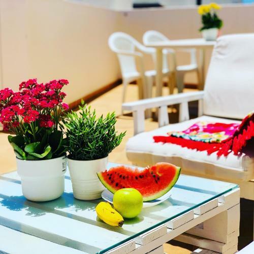Casa Cactus