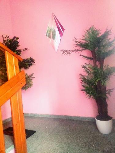 Apartamenty Niebo