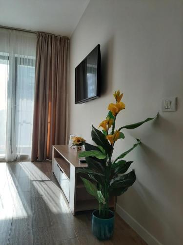 Serenity Aparthotel