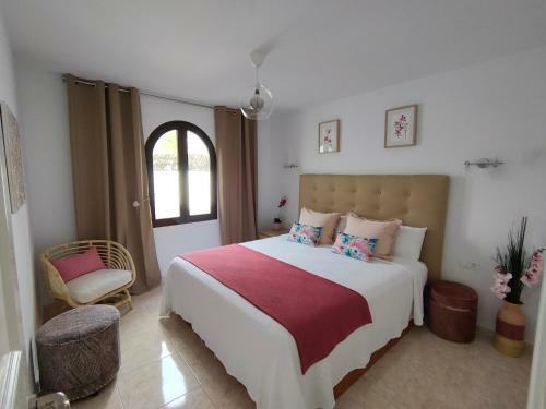 Apartamento Flor De Cactus