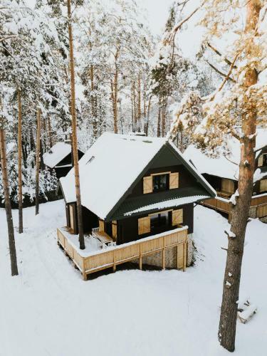 Sosnowy Taras