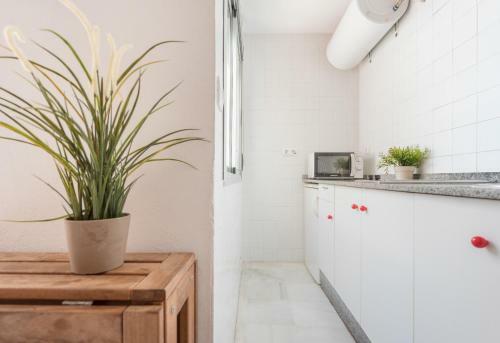 Apartamento Estudio Juan Luis