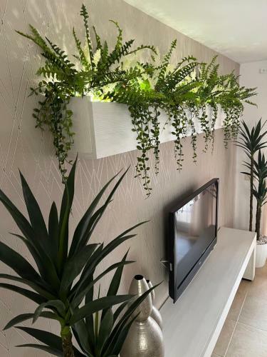Apartamento Nemingzhen Tarifa