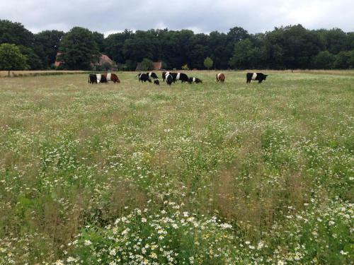 Bed & Breakfast Op 't Oorbeck