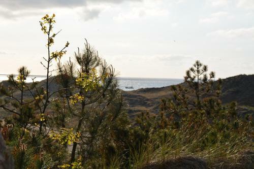 Strandhotel Camperduin