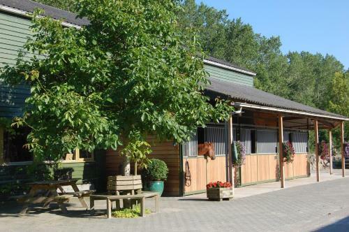 Apartamento Lelymare Logies
