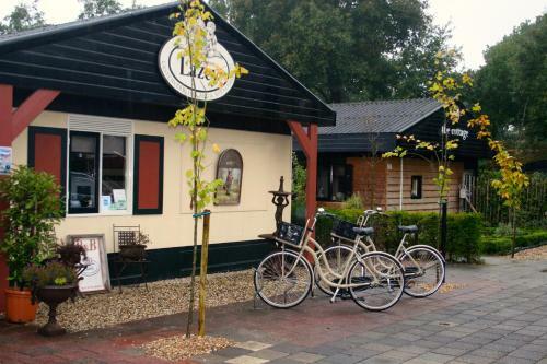 Hostal Guesthouse Lazey