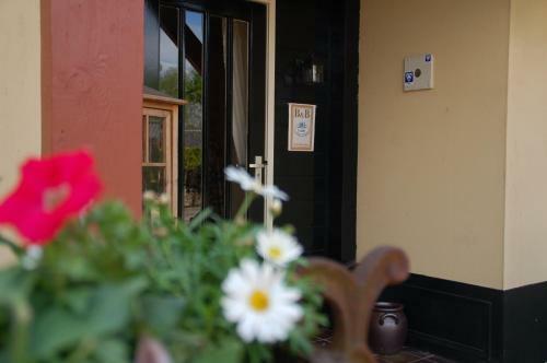 Hostal Guesthouse Lazey