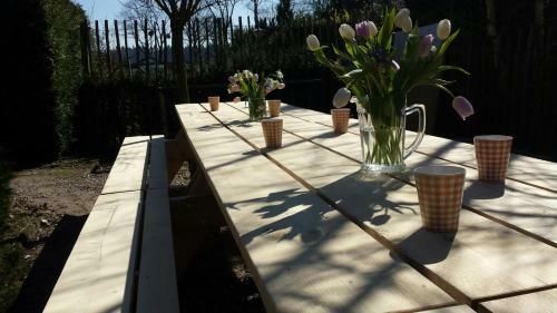 Hostal Guesthouse Lazey