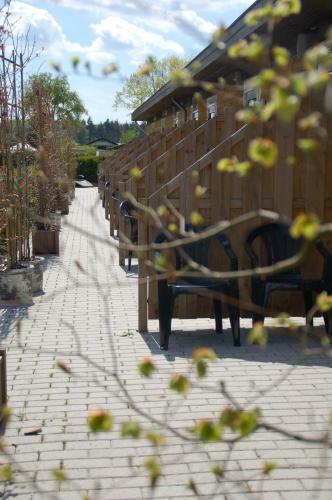 Hostal Guesthouse Lazey