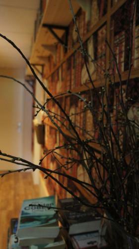 Hostal Guesthouse Lazey