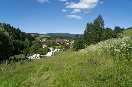Apartamento Wolscy Blachnickiego 3