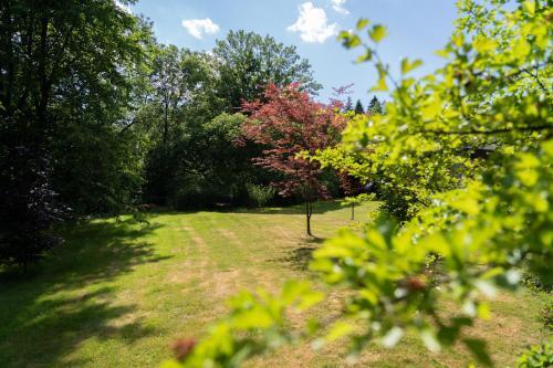 Apartamento Wolscy Blachnickiego 3
