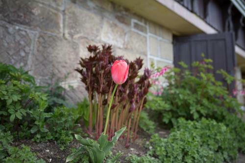 ?mietan�wka Agroturystyka