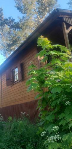 Lodge Domek Mona150mbaltic