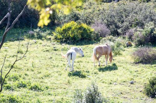 Apartamento Casita Rural En Centro de H�pica