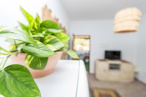 Apartamento Casita Rural En Centro de H�pica