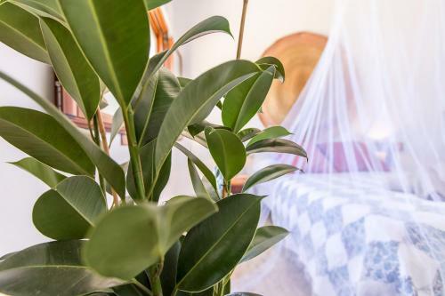 Apartamento Casita Rural En Centro de H�pica