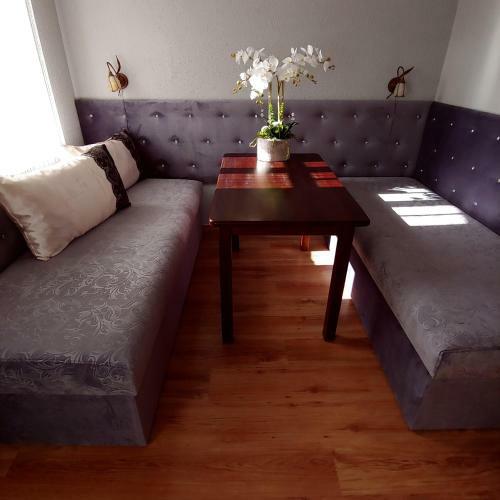 Bed & Breakfast Willa Warta