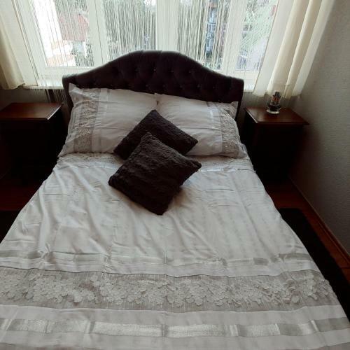 Bed & Breakfast Willa Warta