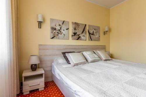 Apartament Viking Continental