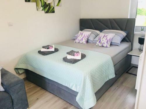 Apartamenty Pod Cisem