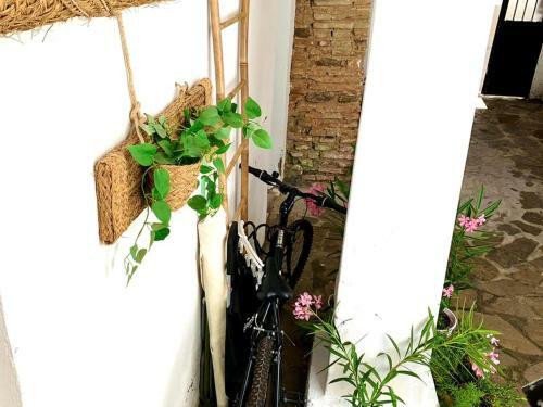 Apartamento Estudio Deluxe En El Casco Antiguo Con Garaje