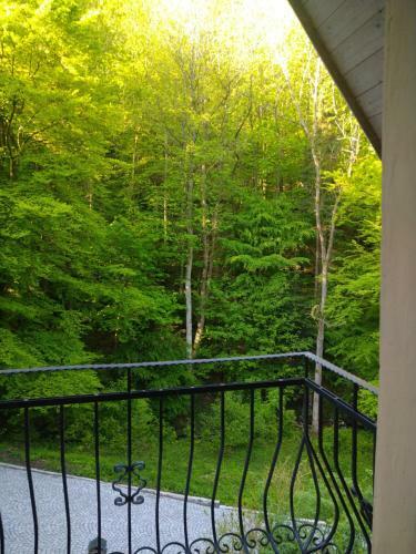 Bed & Breakfast Dworek Le?ny