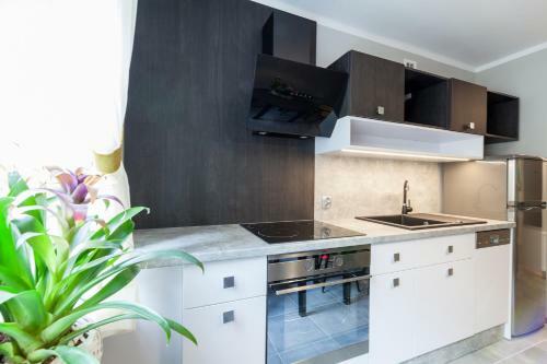 Apartamenty W Willi