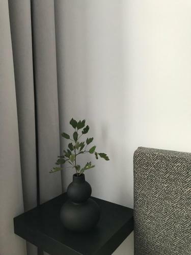 Apartamenty Krynica - Ul. Podg�rna