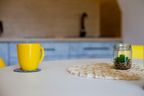 Apartament City Center Perfect - Luxury Standard